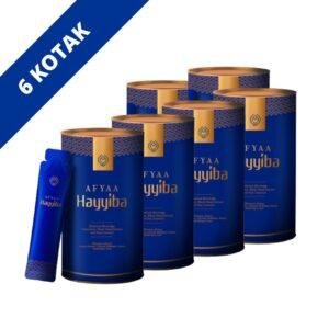 SET PERCUBAAN 6 KOTAK HAYYIBA
